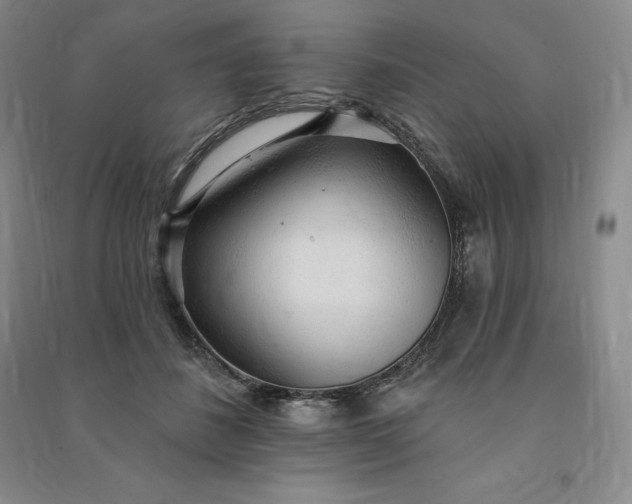 X0000090980508200708161859