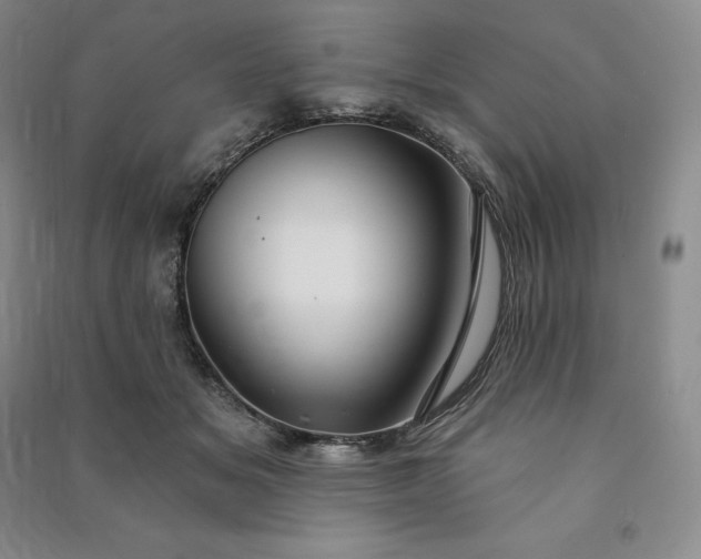 X0000090980509200708161859