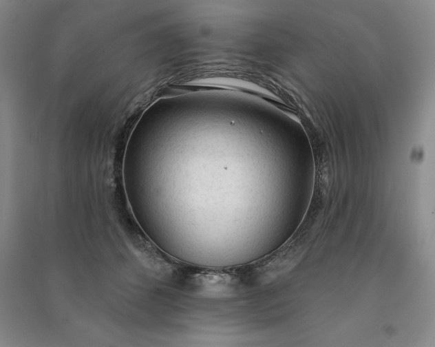 X0000090980512200708161859