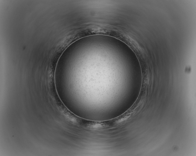 X0000090980513200708161859