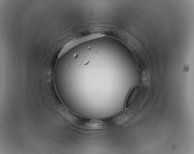 X0000090980514200708161859