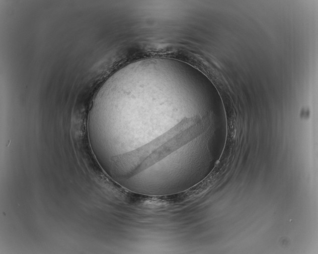 X0000090980515200708161859