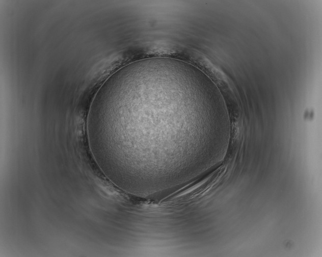 X0000090980517200708161859