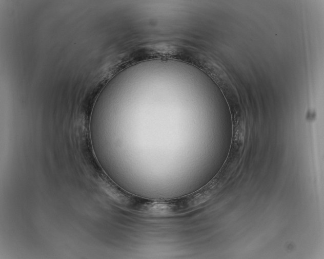 X0000090980518200708161859