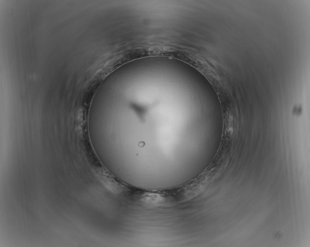 X0000090980519200708161859