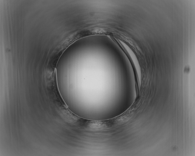 X0000090980521200708161859