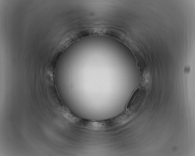 X0000090980522200708161859