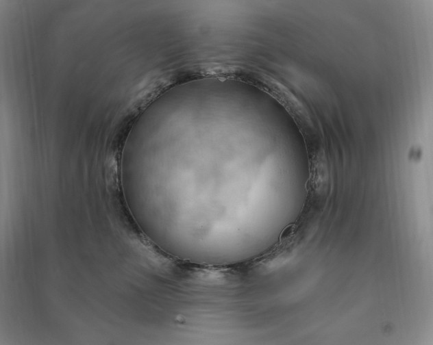 X0000090980523200708161859
