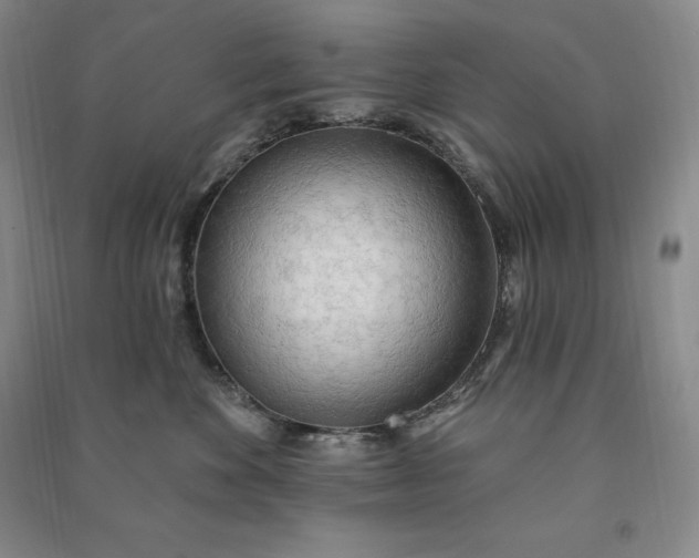 X0000090980524200708161859