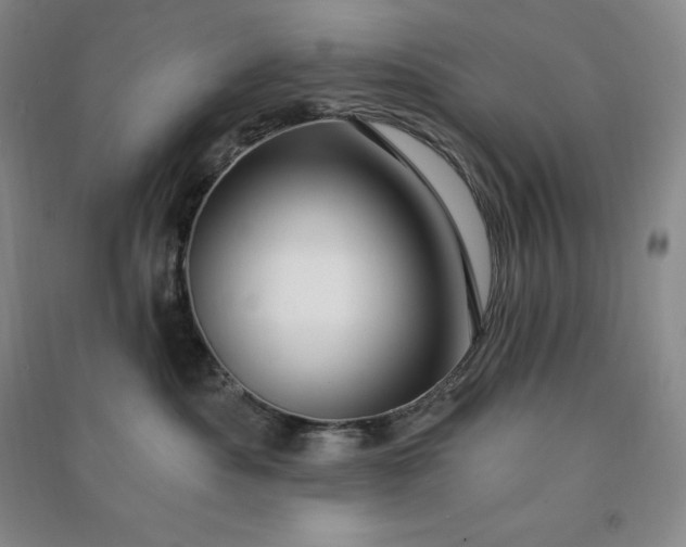 X0000090980525200708161859