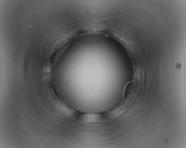 X0000090980526200708161859