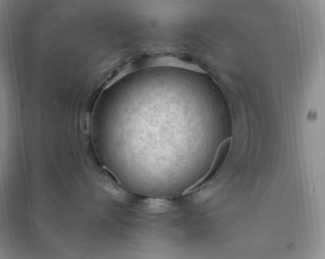 X0000090980528200708161859