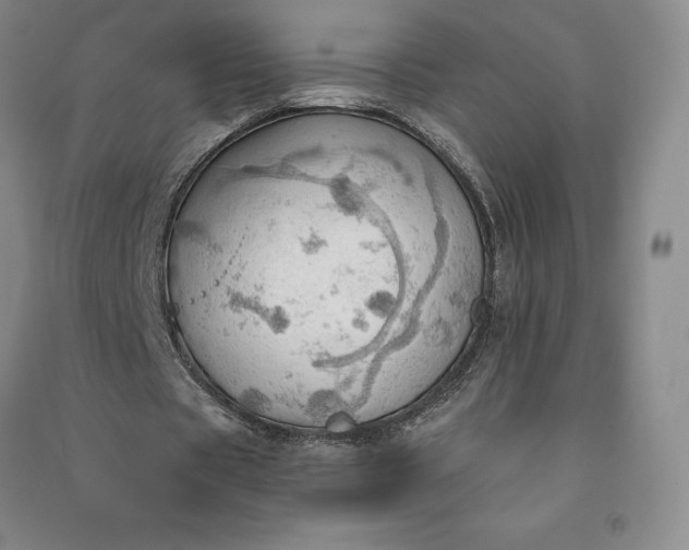 X0000090980529200708161858