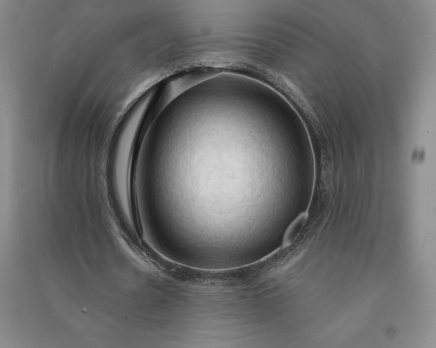 X0000090980530200708161858