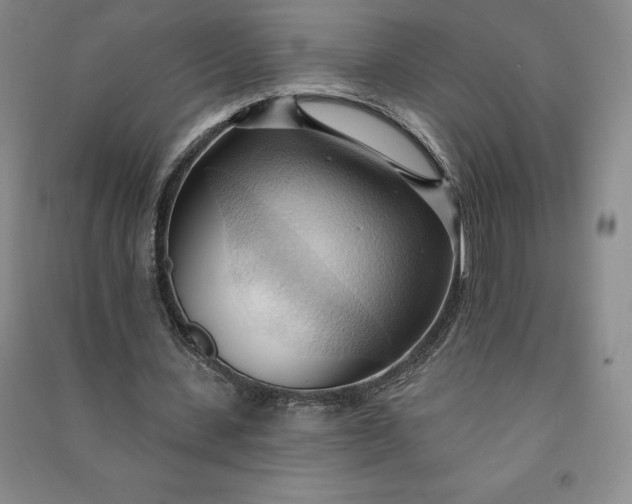 X0000090980531200708161858