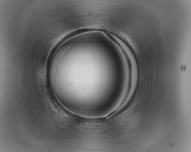 X0000090980532200708161858