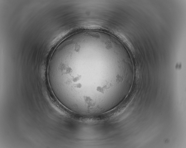 X0000090980533200708161858