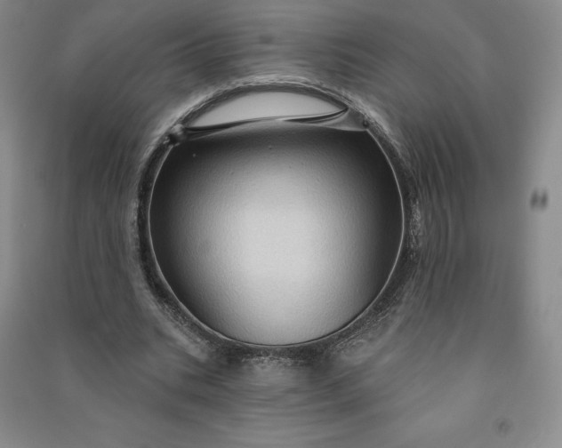 X0000090980535200708161858