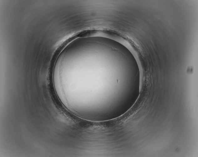 X0000090980536200708161858