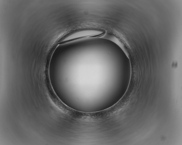 X0000090980538200708161858