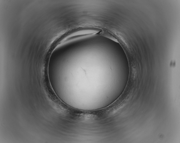 X0000090980539200708161858