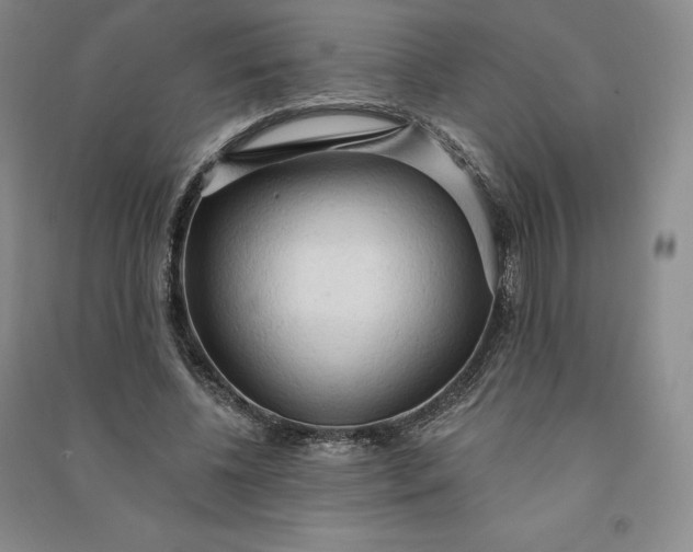 X0000090980540200708161858