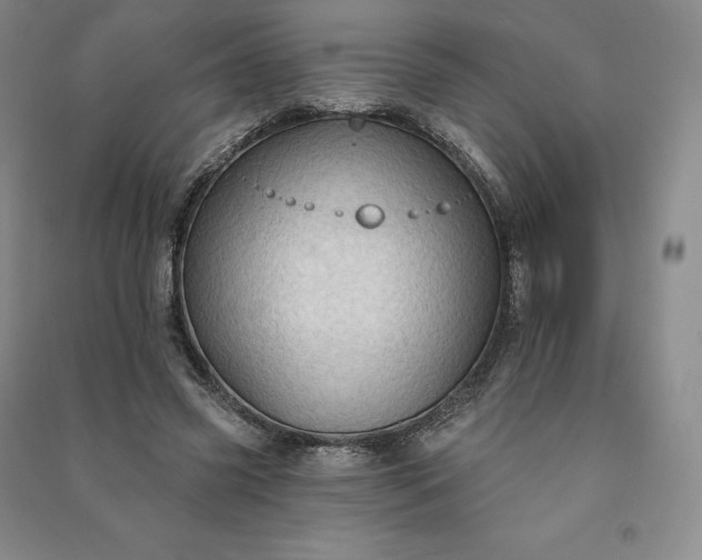 X0000090980541200708161858