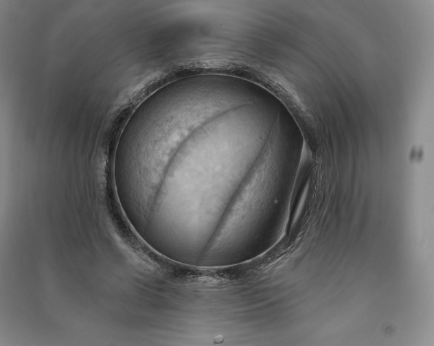 X0000090980542200708161858