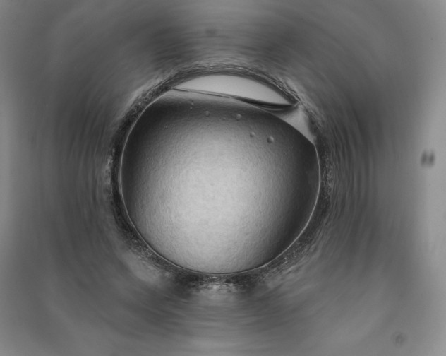 X0000090980543200708161858