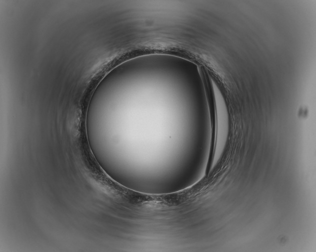 X0000090980544200708161858