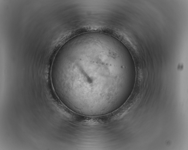 X0000090980545200708161858