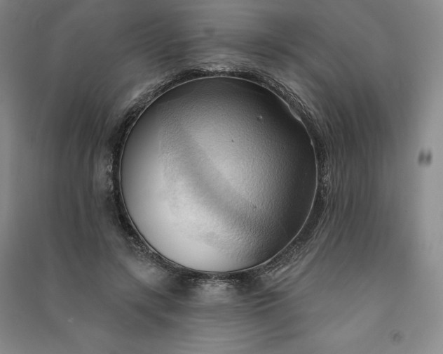 X0000090980547200708161858