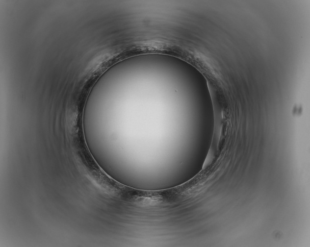 X0000090980548200708161858