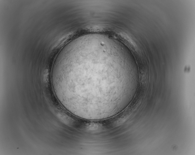 X0000090980549200708161858