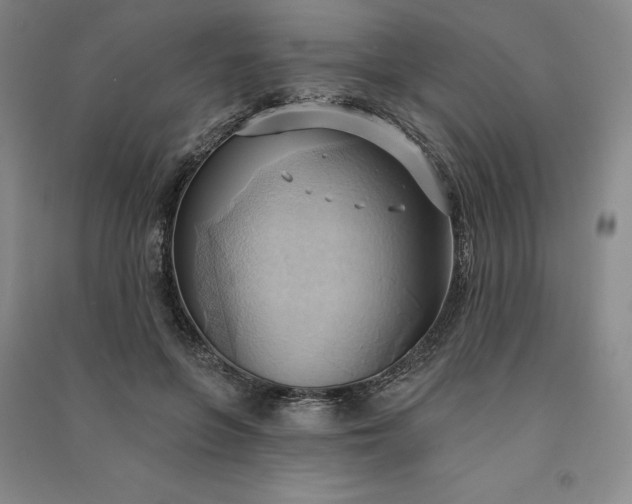 X0000090980551200708161858