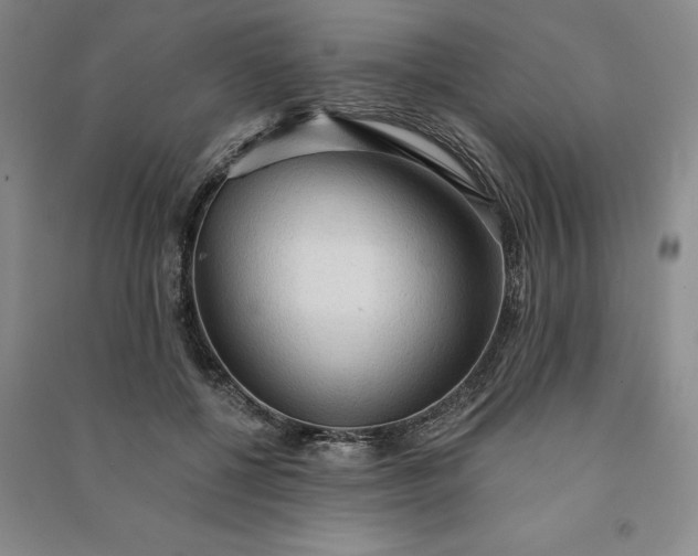 X0000090980552200708161858