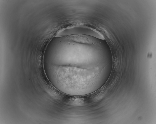X0000090980553200708161858