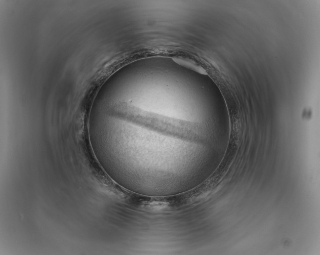 X0000090980554200708161858