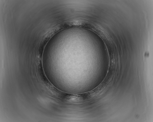 X0000090980555200708161858
