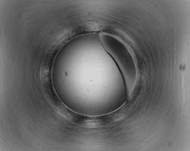 X0000090980556200708161858