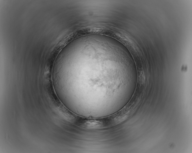X0000090980557200708161858