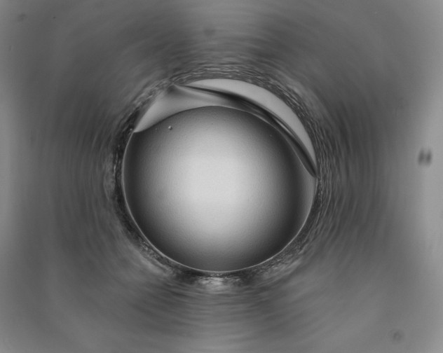 X0000090980558200708161858