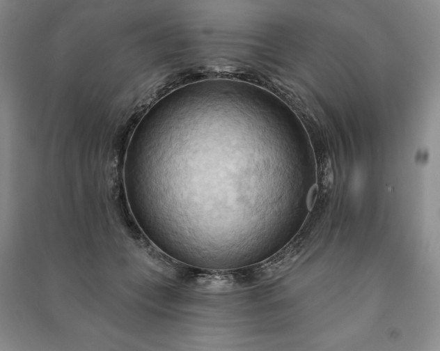X0000090980559200708161858