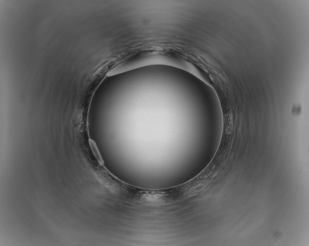 X0000090980560200708161858