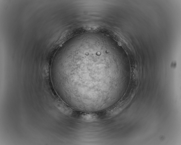 X0000090980561200708161858