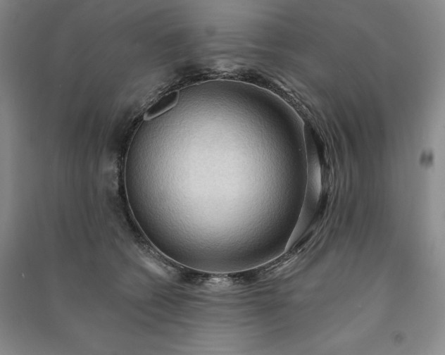 X0000090980562200708161858