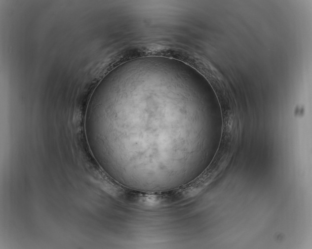 X0000090980565200708161858