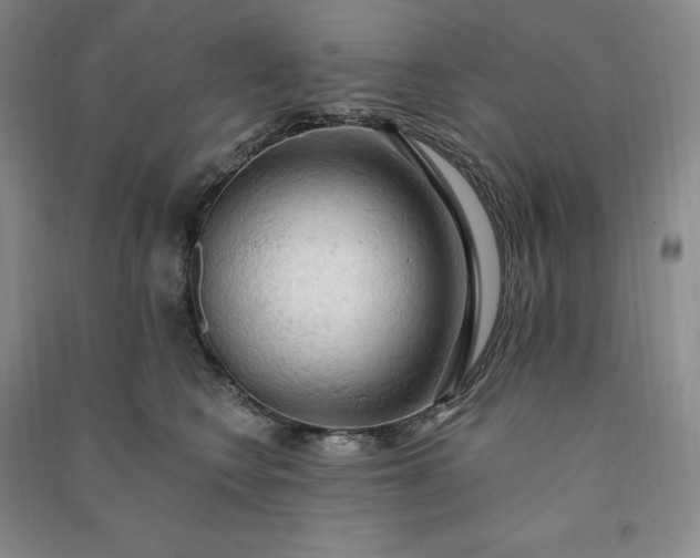 X0000090980566200708161858