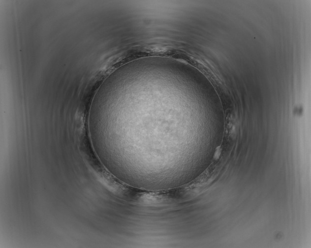 X0000090980568200708161858