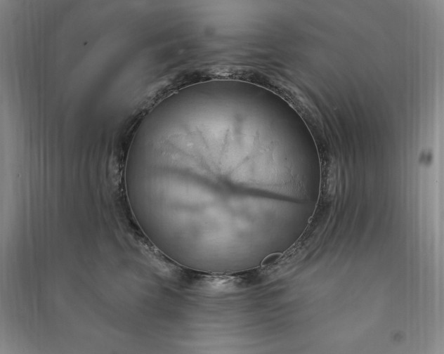 X0000090980569200708161858